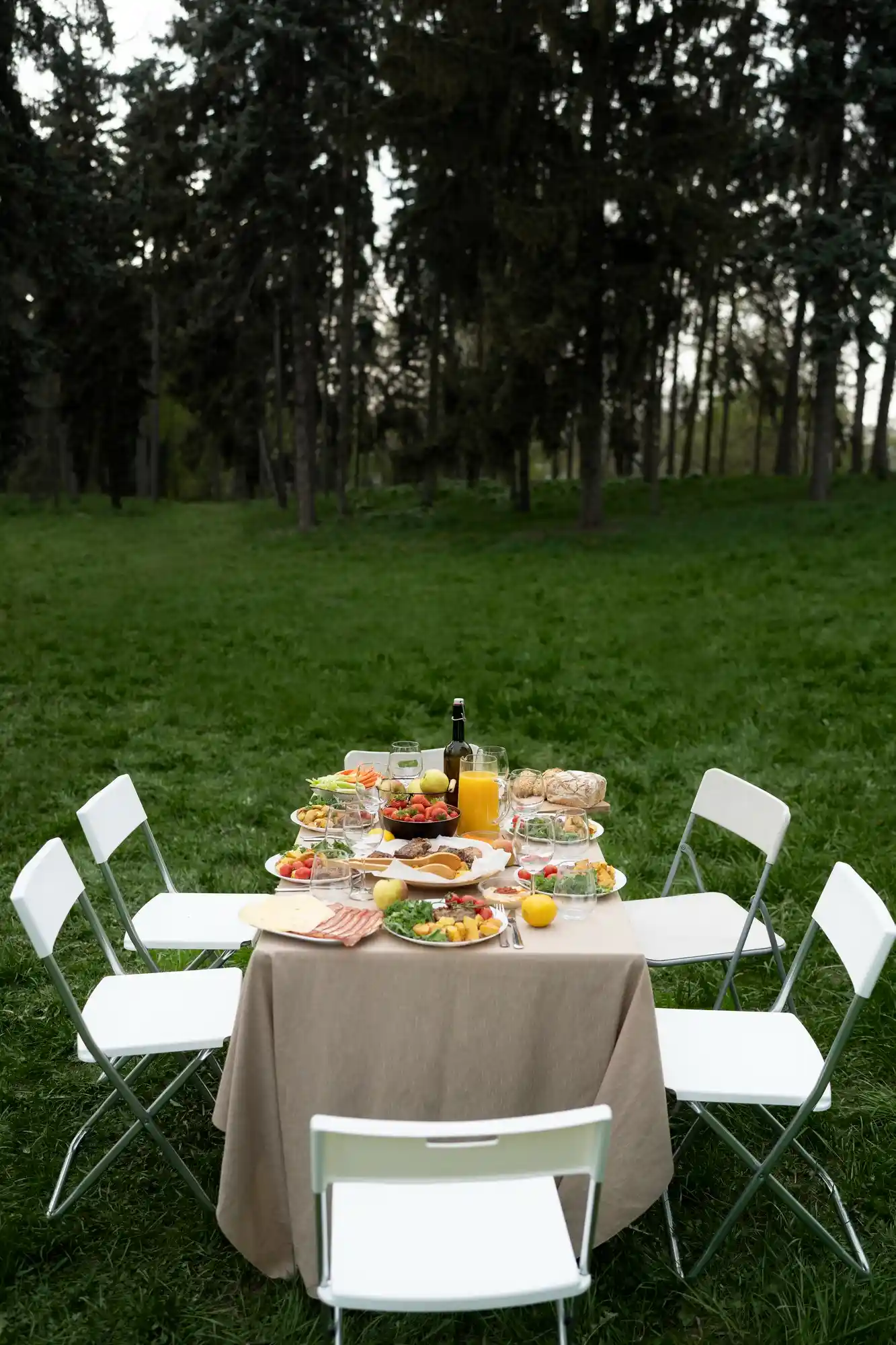 dining table ,chairs and food in an outoor area